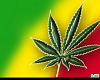 Rasta Drapeau