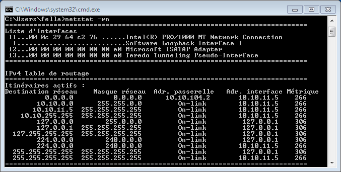 Nom : netstat1.PNG
Affichages : 342
Taille : 23,4 Ko