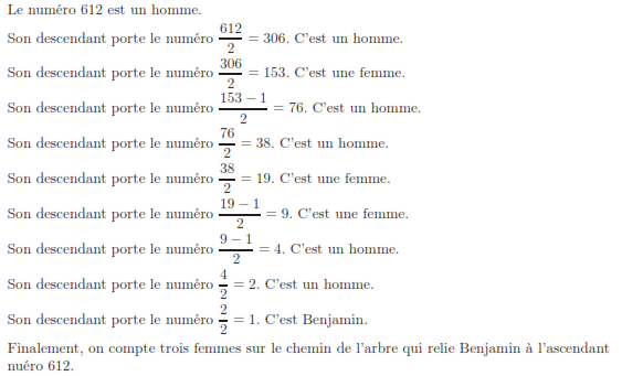 Nom : Chemin Arbre.PNG
Affichages : 368
Taille : 66,1 Ko