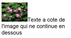 Nom : texte_image2.png
Affichages : 281
Taille : 23,2 Ko