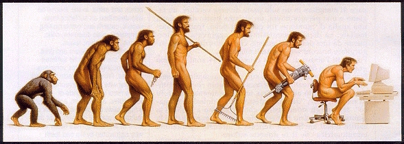 Nom : evolution homme.jpg
Affichages : 102
Taille : 131,8 Ko