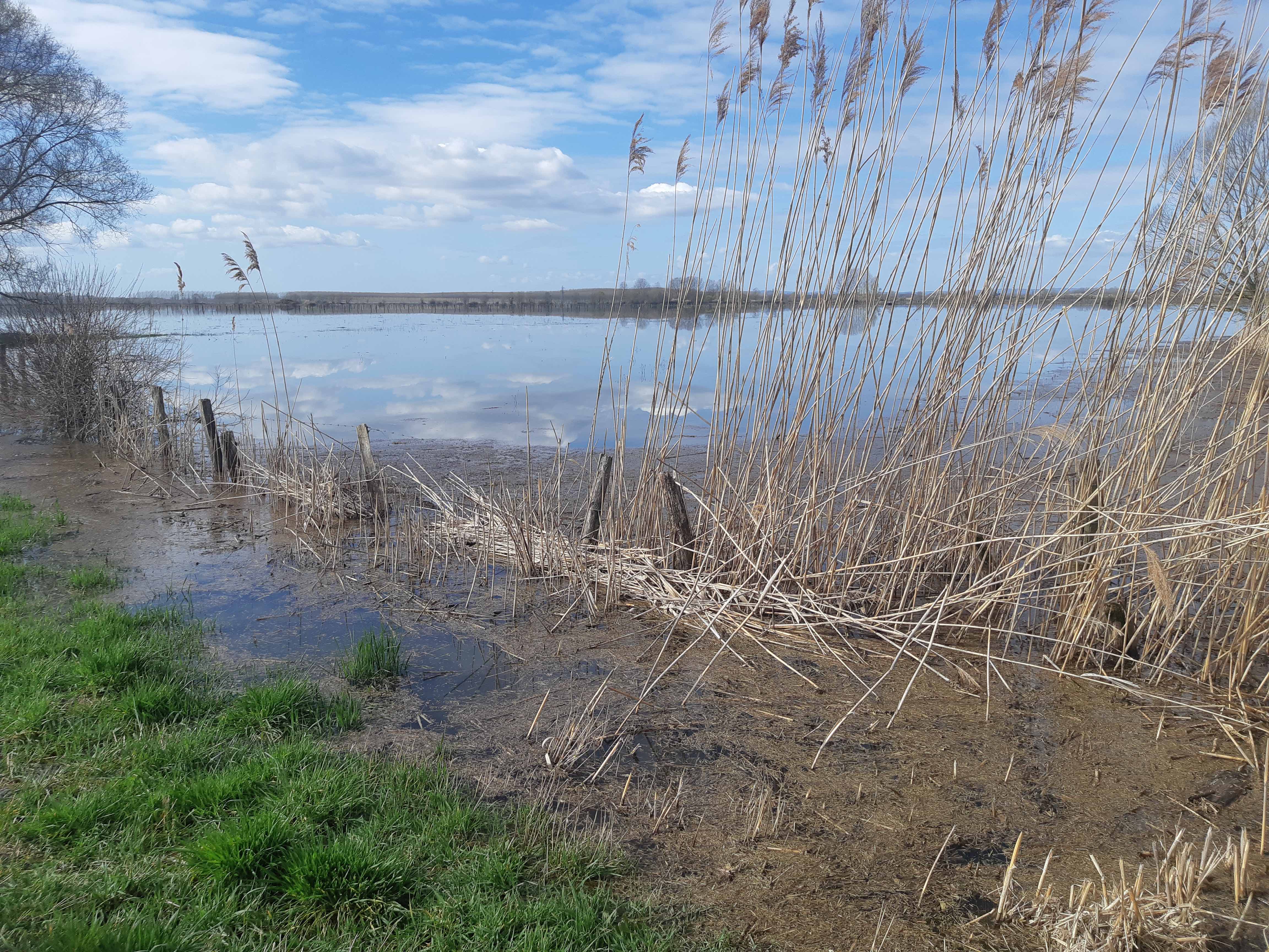 Nom : prairie inondée.jpg
Affichages : 1495
Taille : 1,72 Mo