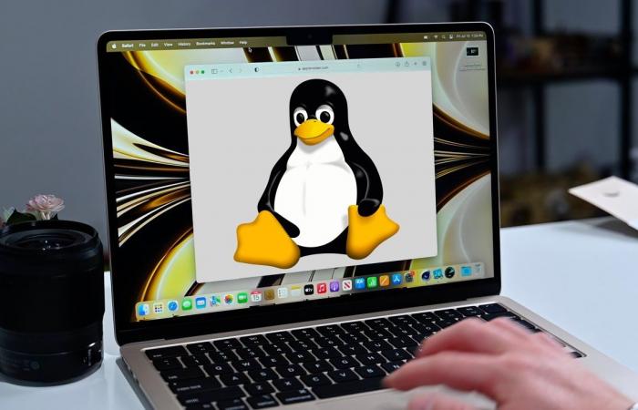 Linus Torvalds publie Linux 5.19 depuis un MacBook Air piloté par un  processeur Apple Silicon
