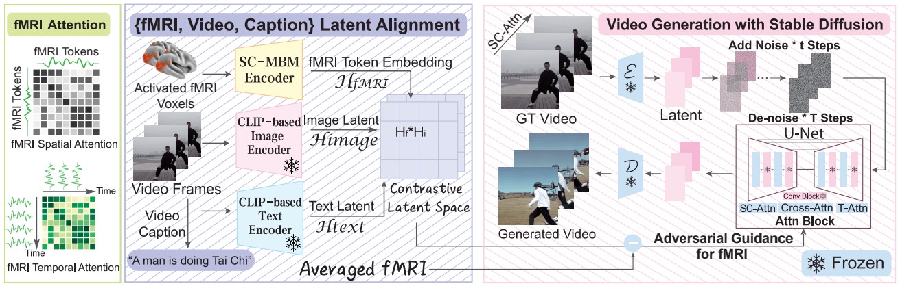 Nom : fmri1.jpg
Affichages : 1886
Taille : 203,7 Ko