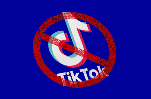 Nom : tiktok-ban.png
Affichages : 6028
Taille : 94,5 Ko