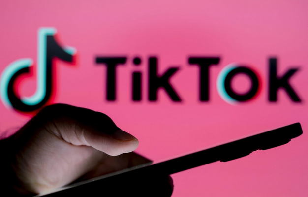 Nom : tiktok.png
Affichages : 4440
Taille : 353,2 Ko