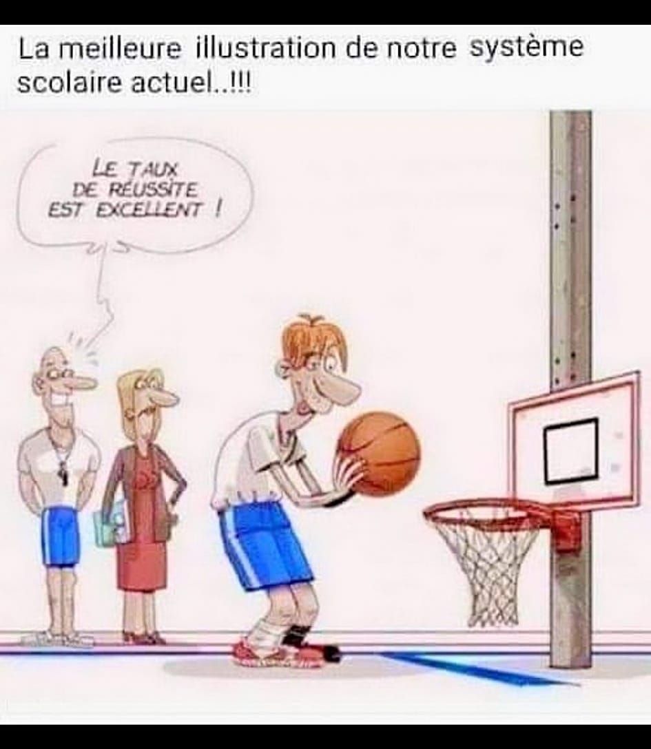 Nom : Systeme_Scolaire_Actuel.jpg
Affichages : 88
Taille : 81,8 Ko